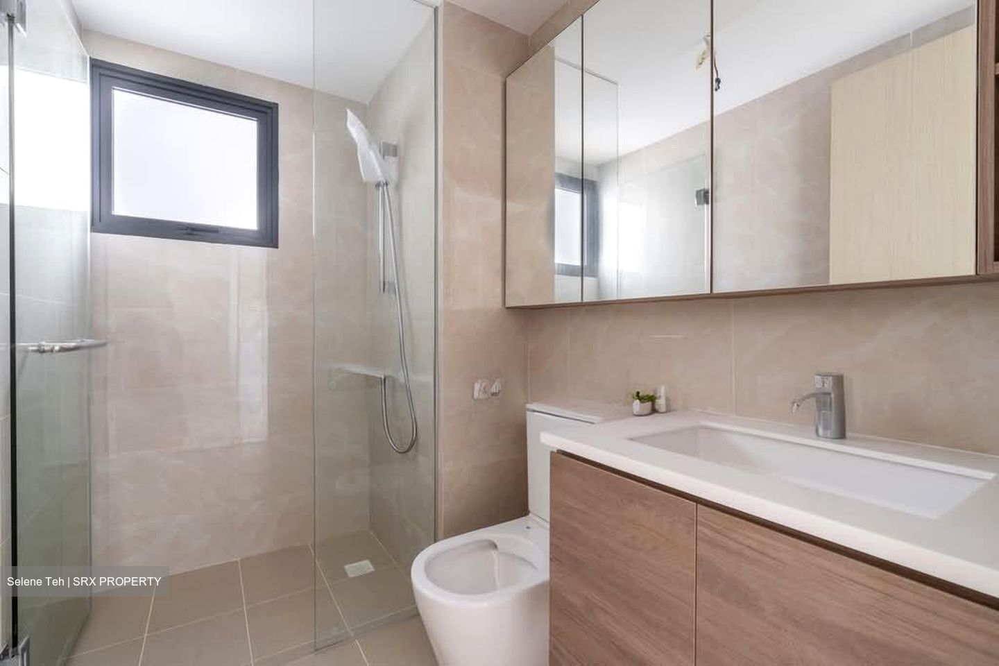 Treasure at Tampines (D18), Condominium #563715101